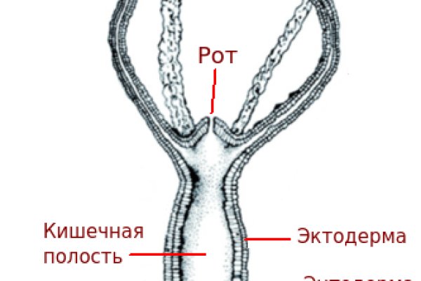 Vk5 at kraken