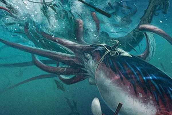 Kraken 17 at net