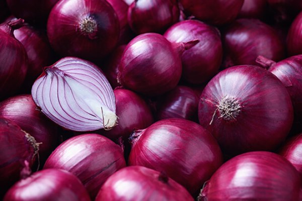 Kraken istand onion